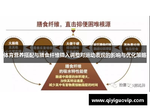 体育营养搭配与膳食纤维摄入调整对运动表现的影响与优化策略