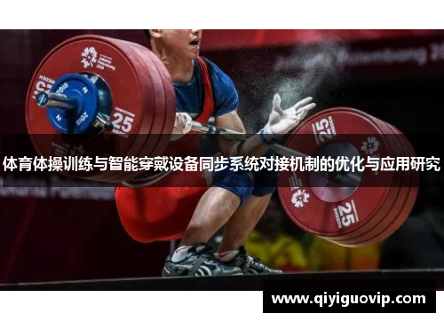 体育体操训练与智能穿戴设备同步系统对接机制的优化与应用研究