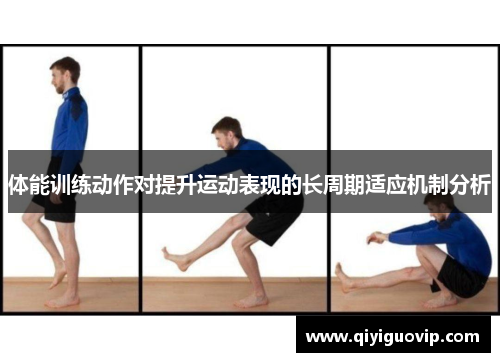体能训练动作对提升运动表现的长周期适应机制分析